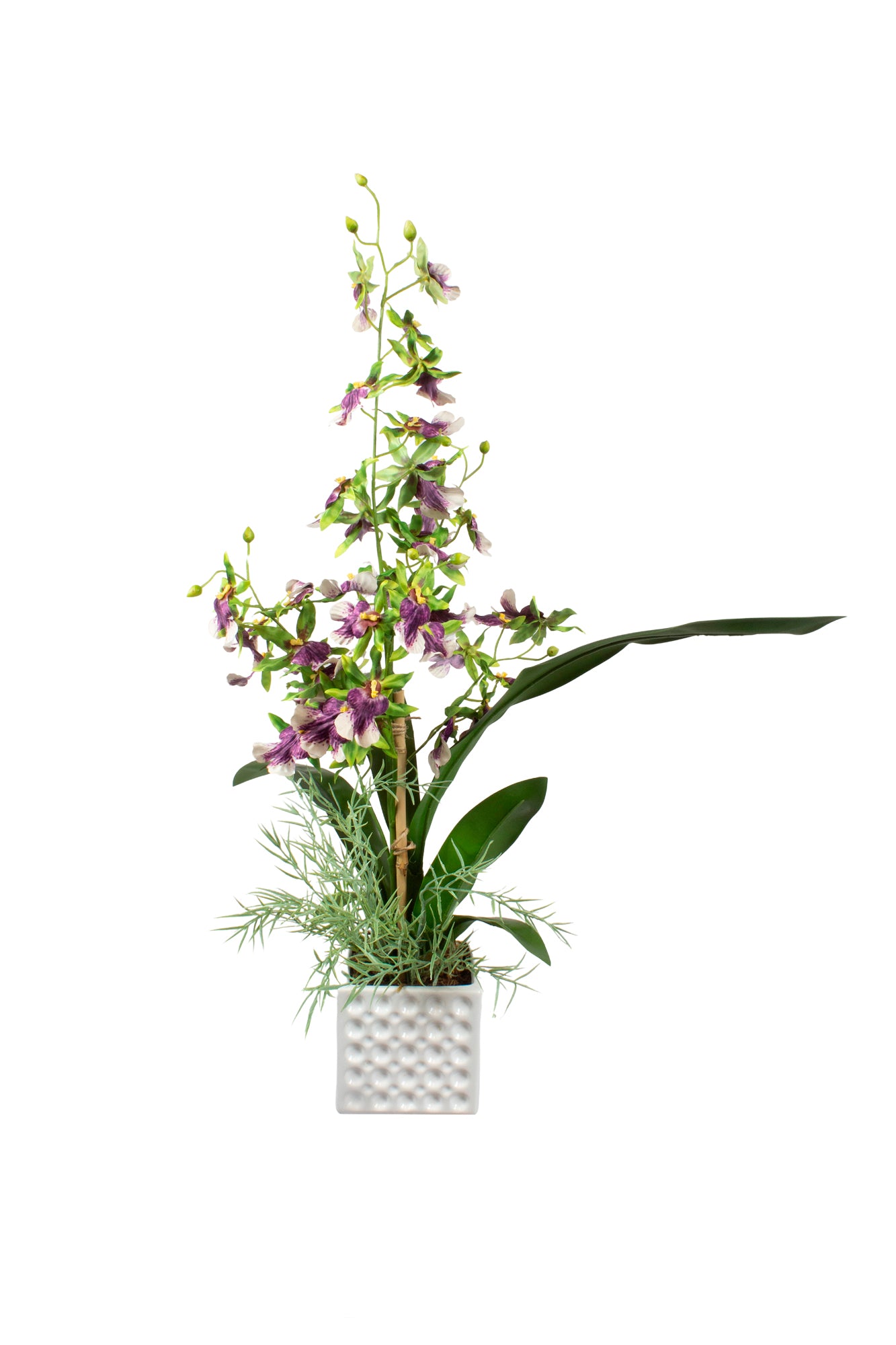 ORQ. ONCIDIUM VD EM CER 64CM Cod: A7023