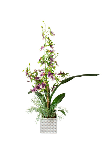 ORQ. ONCIDIUM VD EM CER 64CM Cod: A7023