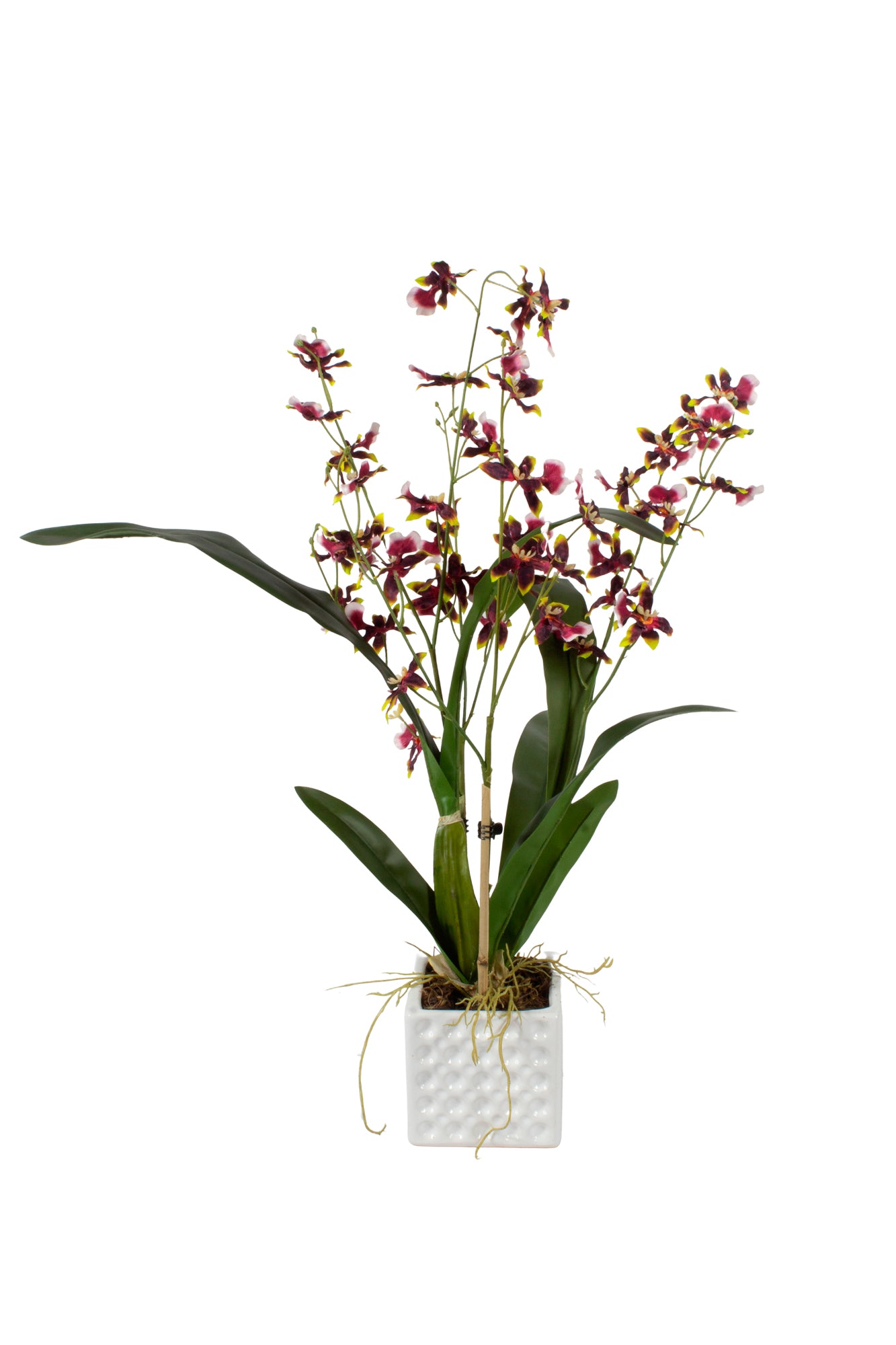 ORQ. ONCIDIUM VI EM CER, 58CM Cod: A7024-VI