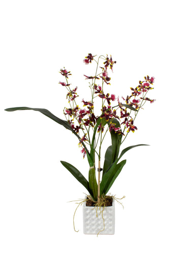 ORQ. ONCIDIUM VI EM CER, 58CM Cod: A7024-VI