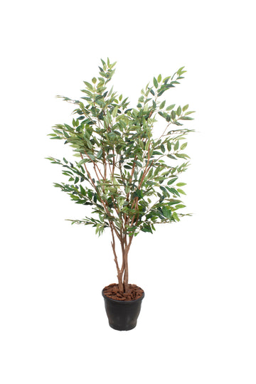 FICUS BENJAMINA, 140CM Cod: A7027