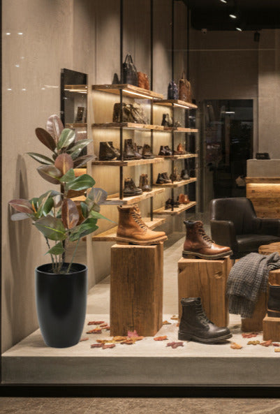 FICUS ELÁSTICA BURGUNDY, 110CM Cod: A7028