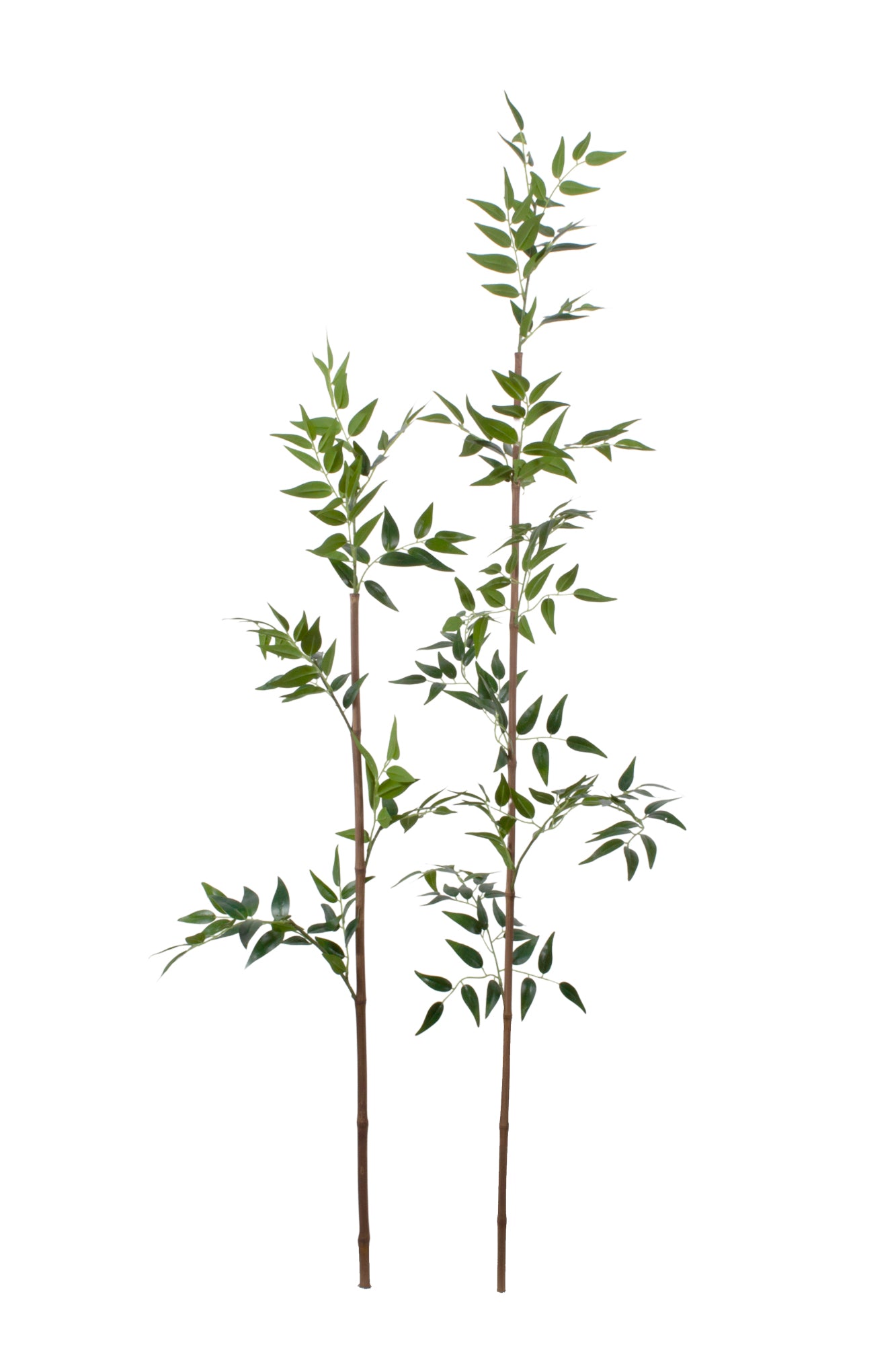 KIT C/ 2 BAMBUS, 140CM Cod: A7038