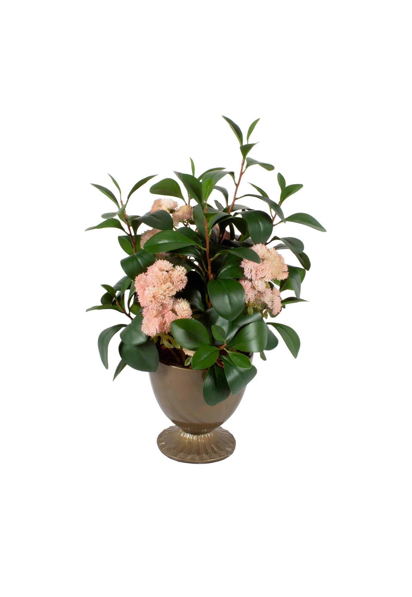 RUSCUS C/ SUCULENTAS SEDUM 52CM Cod: A7039