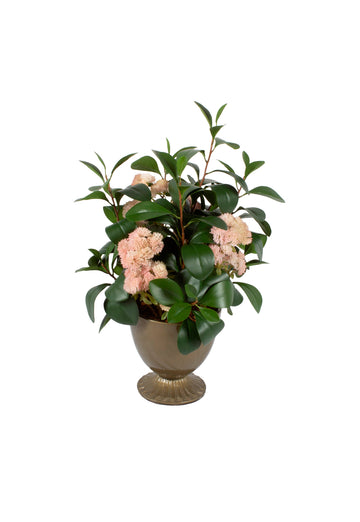 RUSCUS C/ SUCULENTAS SEDUM 52CM Cod: A7039