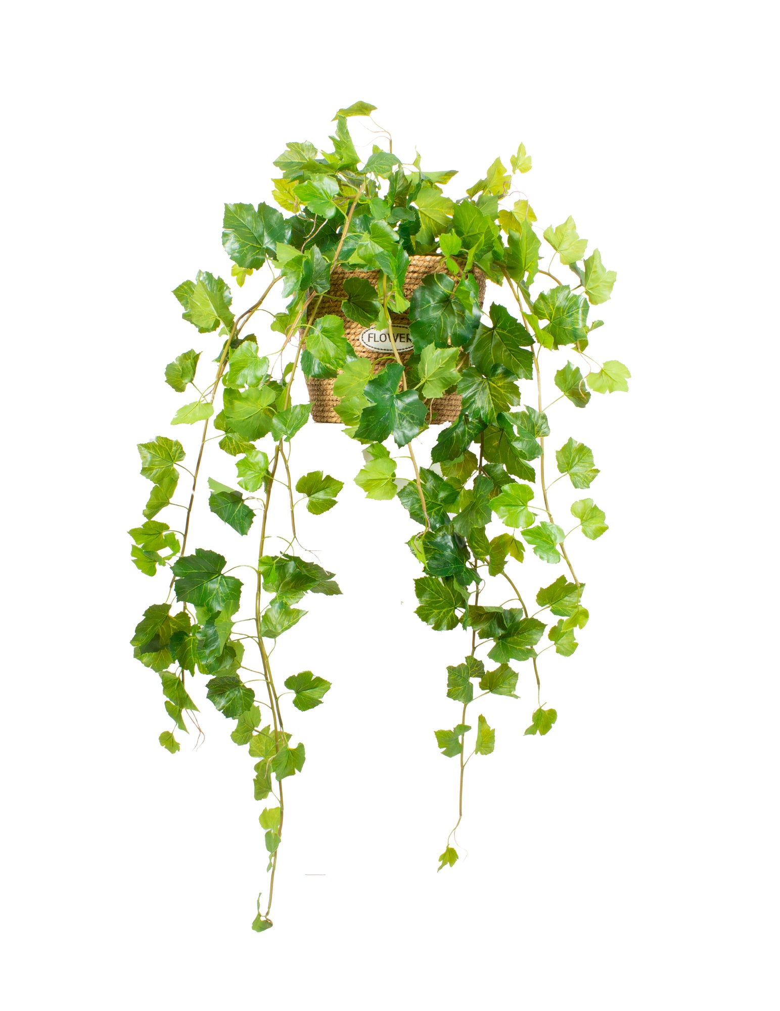 PARREIRA PENDENTE EM CESTO 110CM Cod: A7041