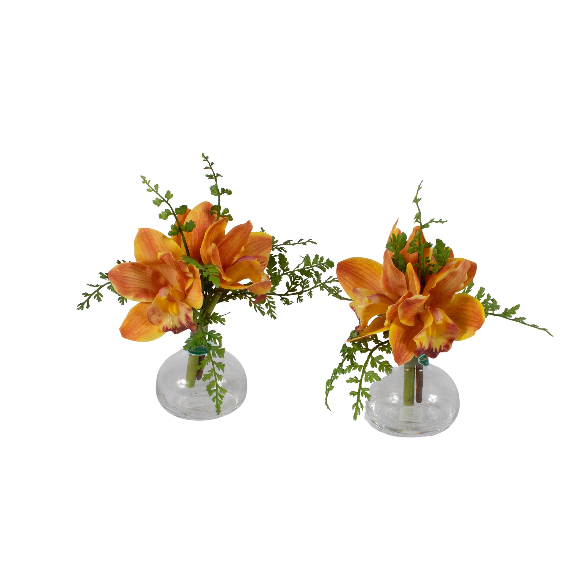 ORQ. CYMBIDIUM TE X3 KIT C/2 20CM Cod: A7042TE