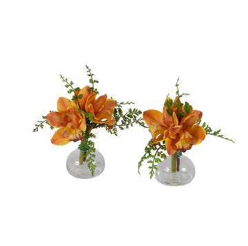 ORQ. CYMBIDIUM TE X3 KIT C/2 20CM Cod: A7042TE