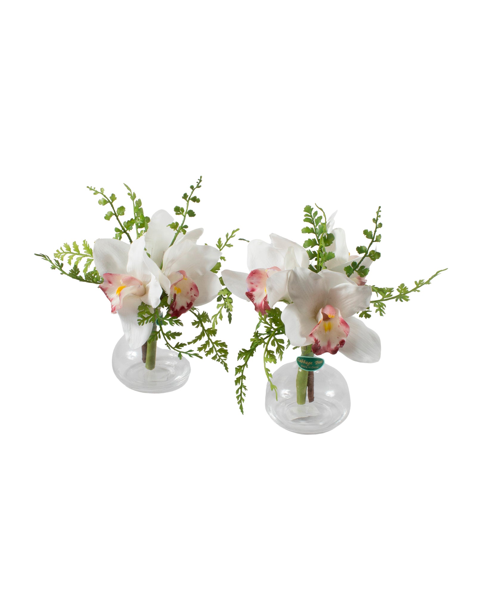ORQ. CYMBIDIUM WH X3 KIT C/2 20CM Cod: A7042WH