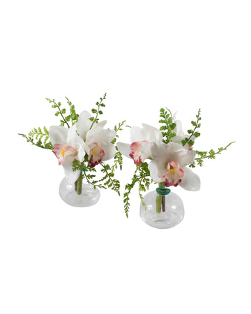 ORQ. CYMBIDIUM WH X3 KIT C/2 20CM Cod: A7042WH