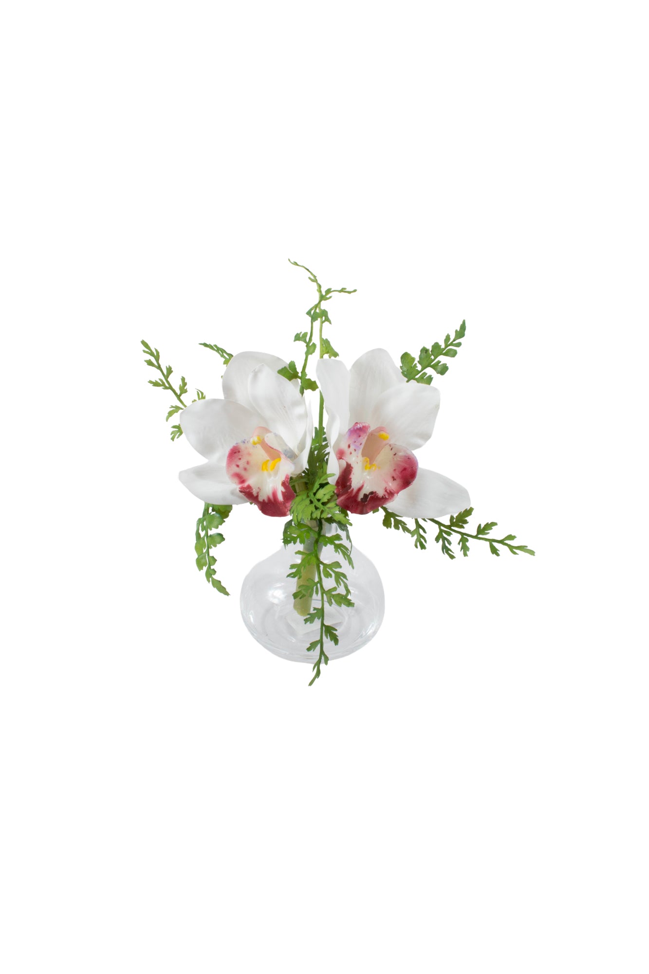 ORQ. CYMBIDIUM WH X2 EM VIDRO 20CM Cod: A7043WH