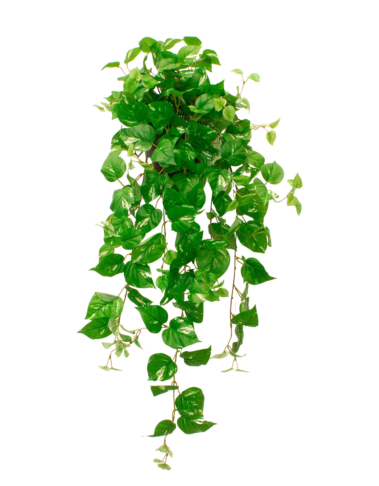 JIBOIA PENDENTE EM POTE PVC PAREDE, 100CM Cod: A7046