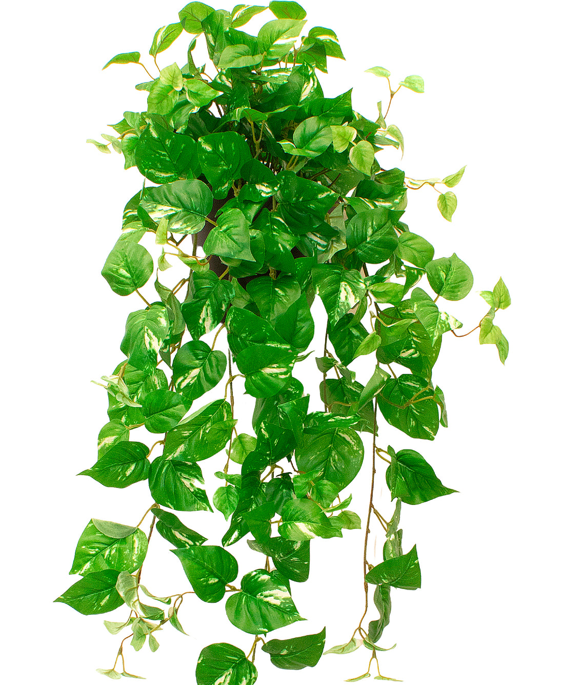 JIBOIA PENDENTE EM POTE PVC PAREDE, 100CM Cod: A7046