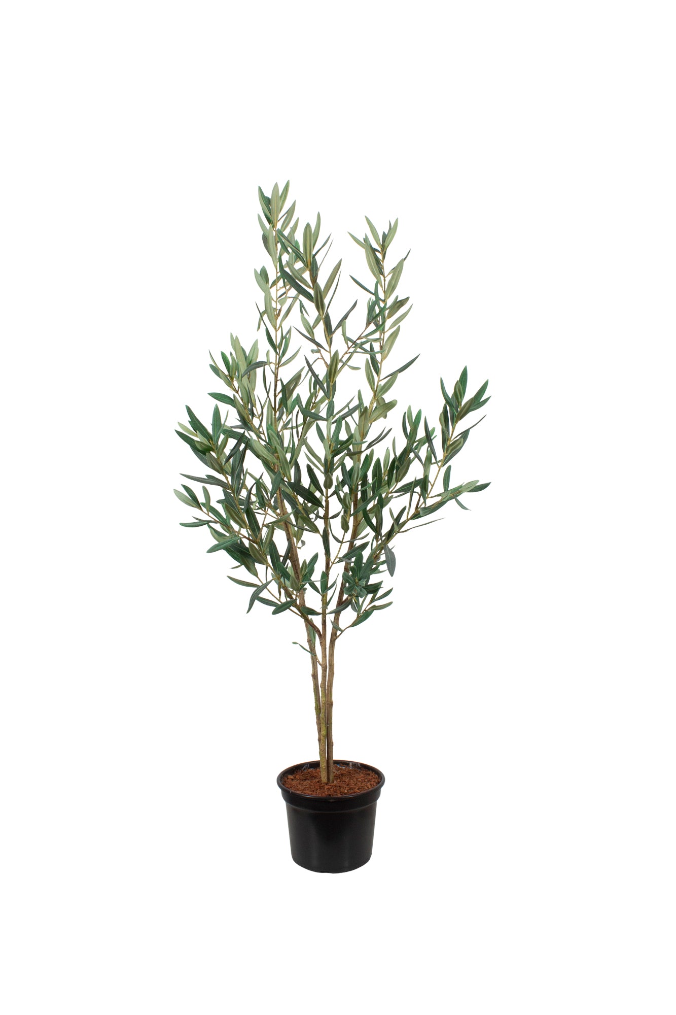 ÁRVORE DE OLIVEIRA PEQUENA, 125CM Cod: A7048