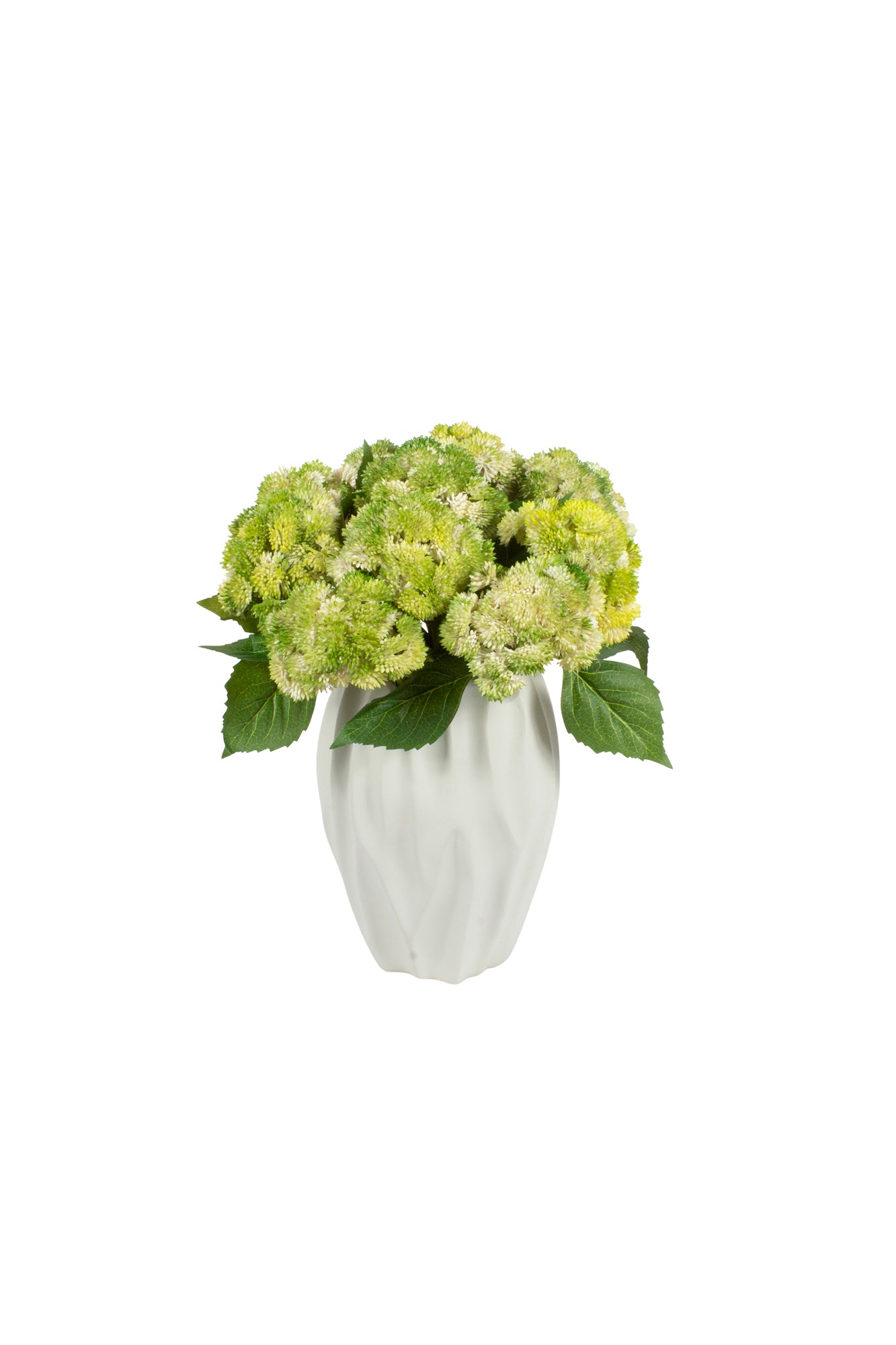 SEDUM VD EM VASO CER 36CM Cod: A7057