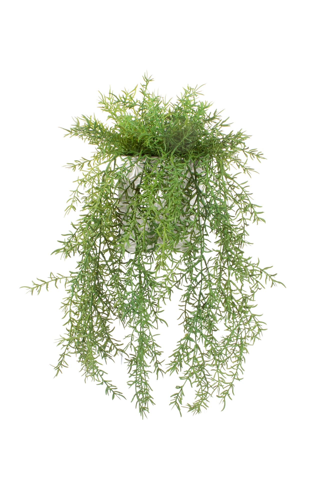 ASPARGOS PENDENTES EM CER GD 45CM Cod: A7061