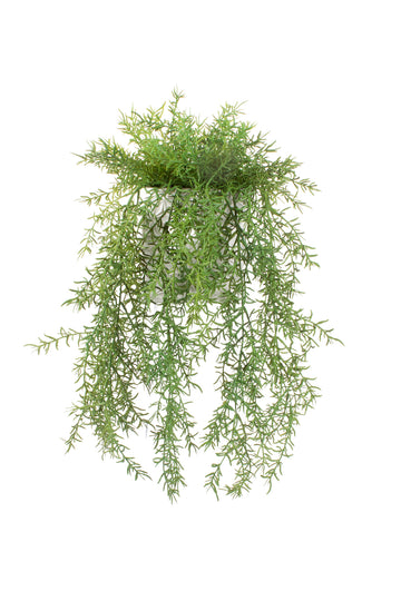 ASPARGOS PENDENTES EM CER GD 45CM Cod: A7061