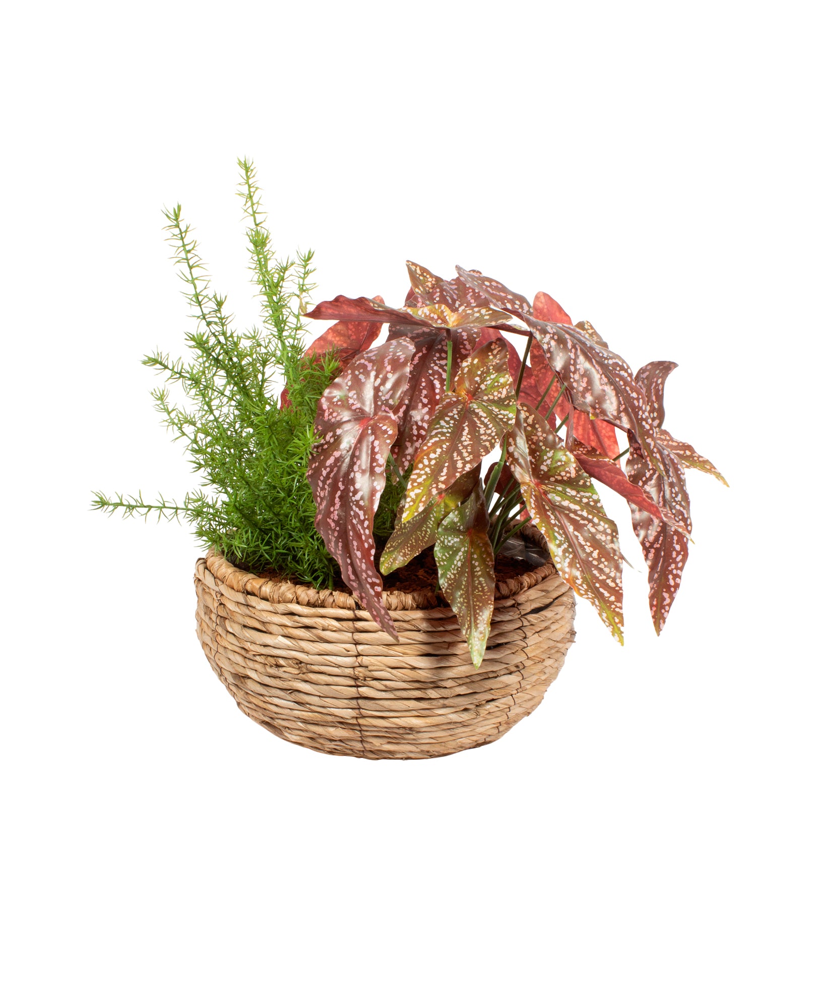 JARDIM DE BEGONIAS C/ ALFINETES EM CESTO 40CM Cod: A7066