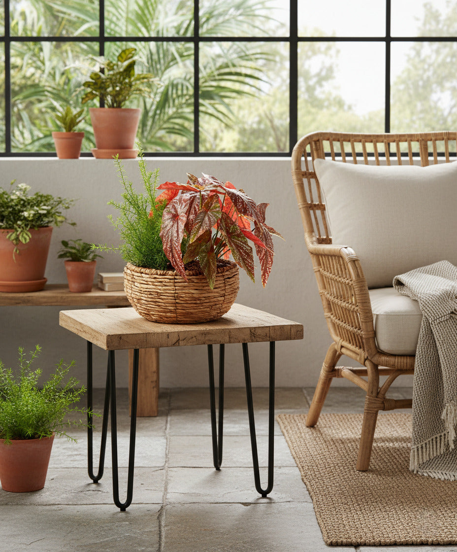 JARDIM DE BEGONIAS C/ ALFINETES EM CESTO 40CM Cod: A7066