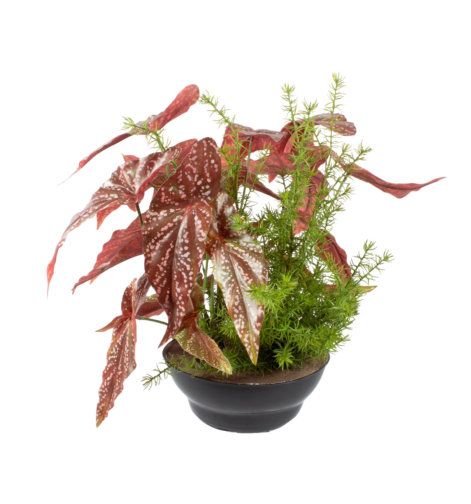 JARDIM DE BEGONIAS C/ ALFINETES NO VPP, 40CM Cod: A7070