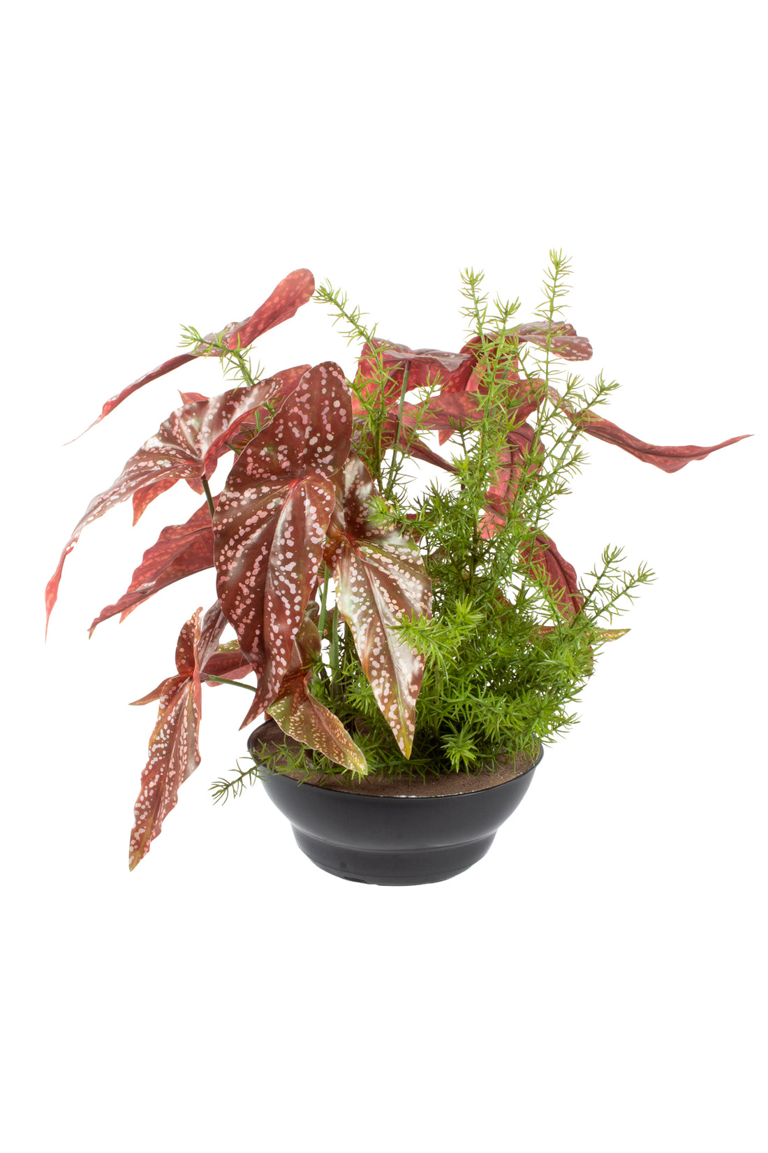 JARDIM DE BEGONIAS C/ ALFINETES NO VPP, 40CM Cod: A7070