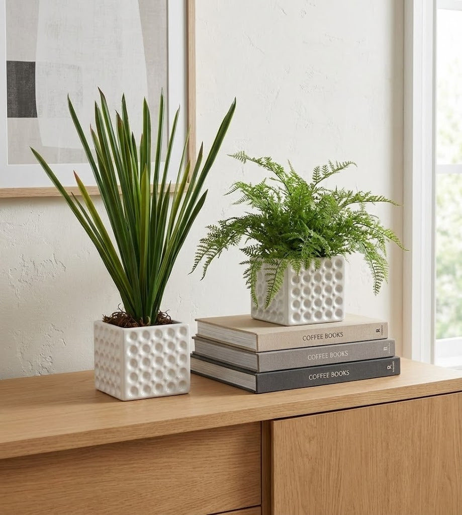 FOLHAGEM MINI CYMBIDIUM 43CM Cod: 8883