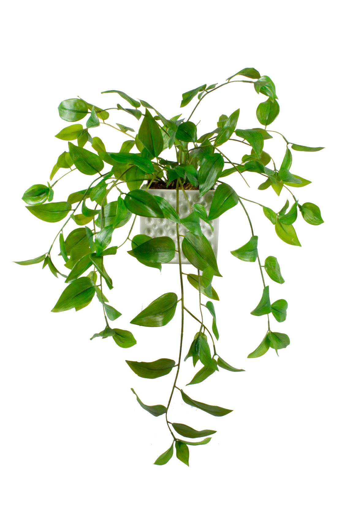 ZEBRINA EM CER/BCA 60CM Cod: A7078