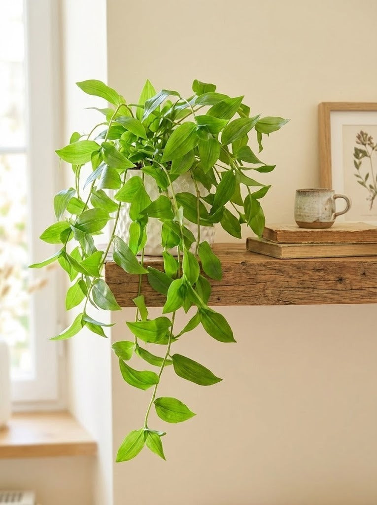 ZEBRINA EM CER/BCA 60CM Cod: A7078