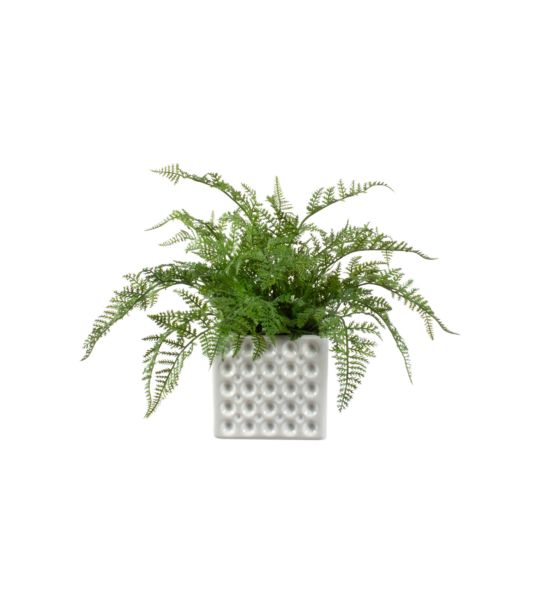 SAMAMBAIA RENDA PORTUGUESA EM CER/BCA, 22CM Cod: A7080