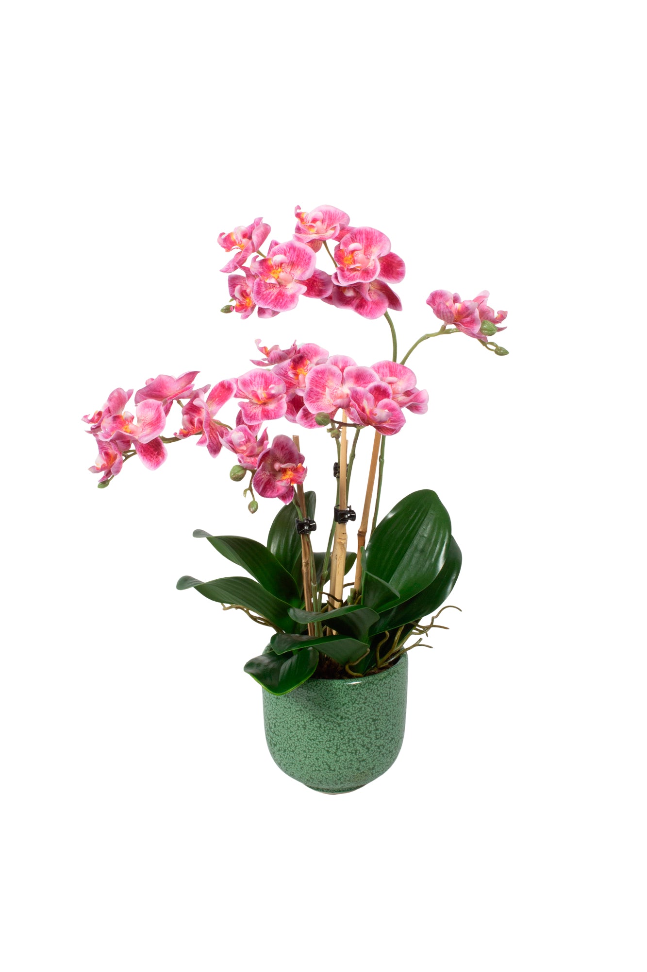 ORQ. PHALAENOPSIS EM CER/VD, 42CM Cod: A7083