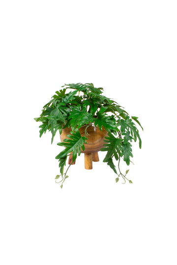 XANADU PENDENTE EM CACHEPOT MADEIRA, 34 CM Cod: A7084