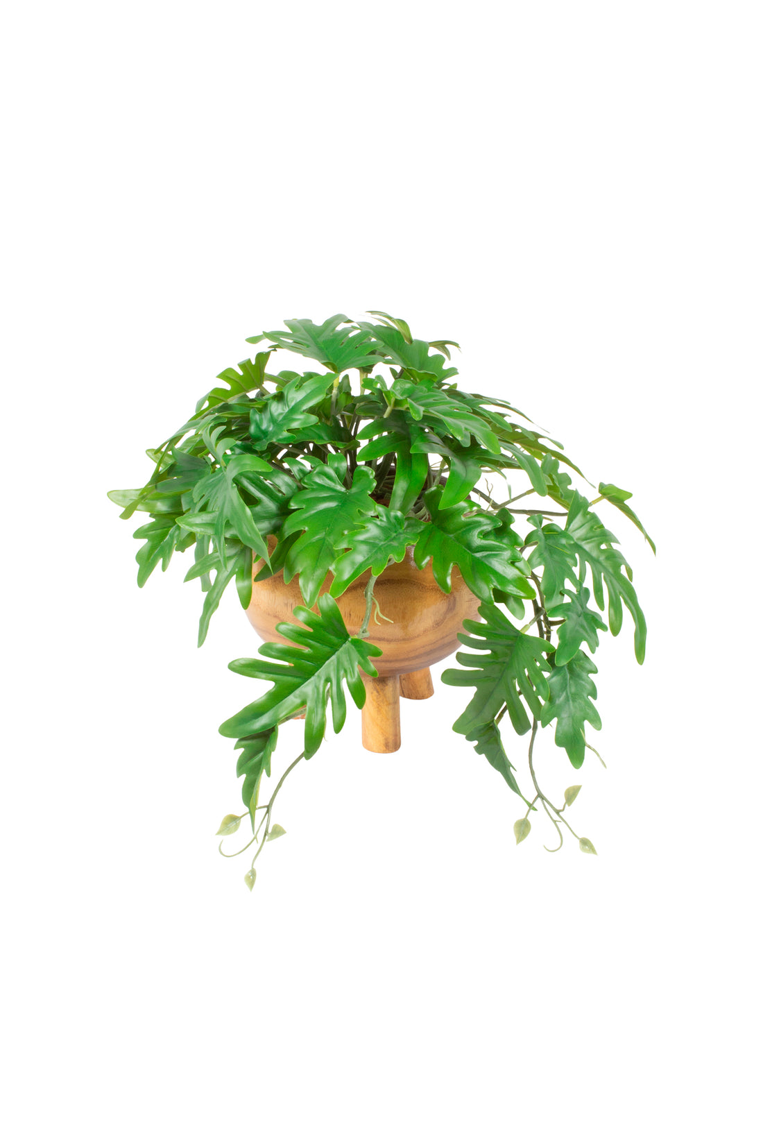 XANADU PENDENTE EM CACHEPOT MADEIRA, 34 CM Cod: A7084