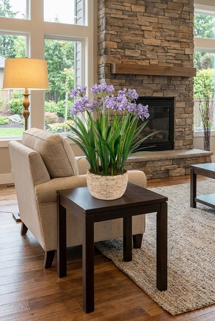 AGAPANTUS LV EM CESTO, 96CM Cod: A7088