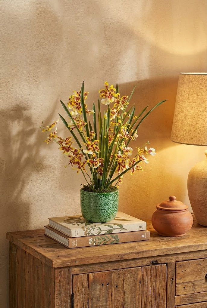 ORQ.ONCIDIUM AM EM CER/VD, 38CM Cod: A7092