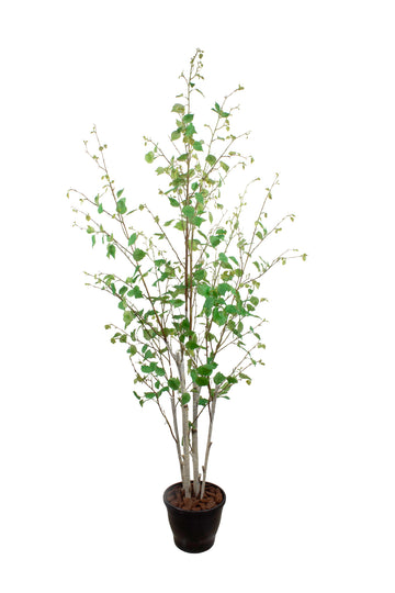 VIDOEIRO EM POTE PVC, 180CM Cod: A7101