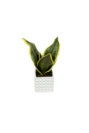 ESPADA-DE-S.BARBARA EM CER. BCA 30CM Cod: A7104