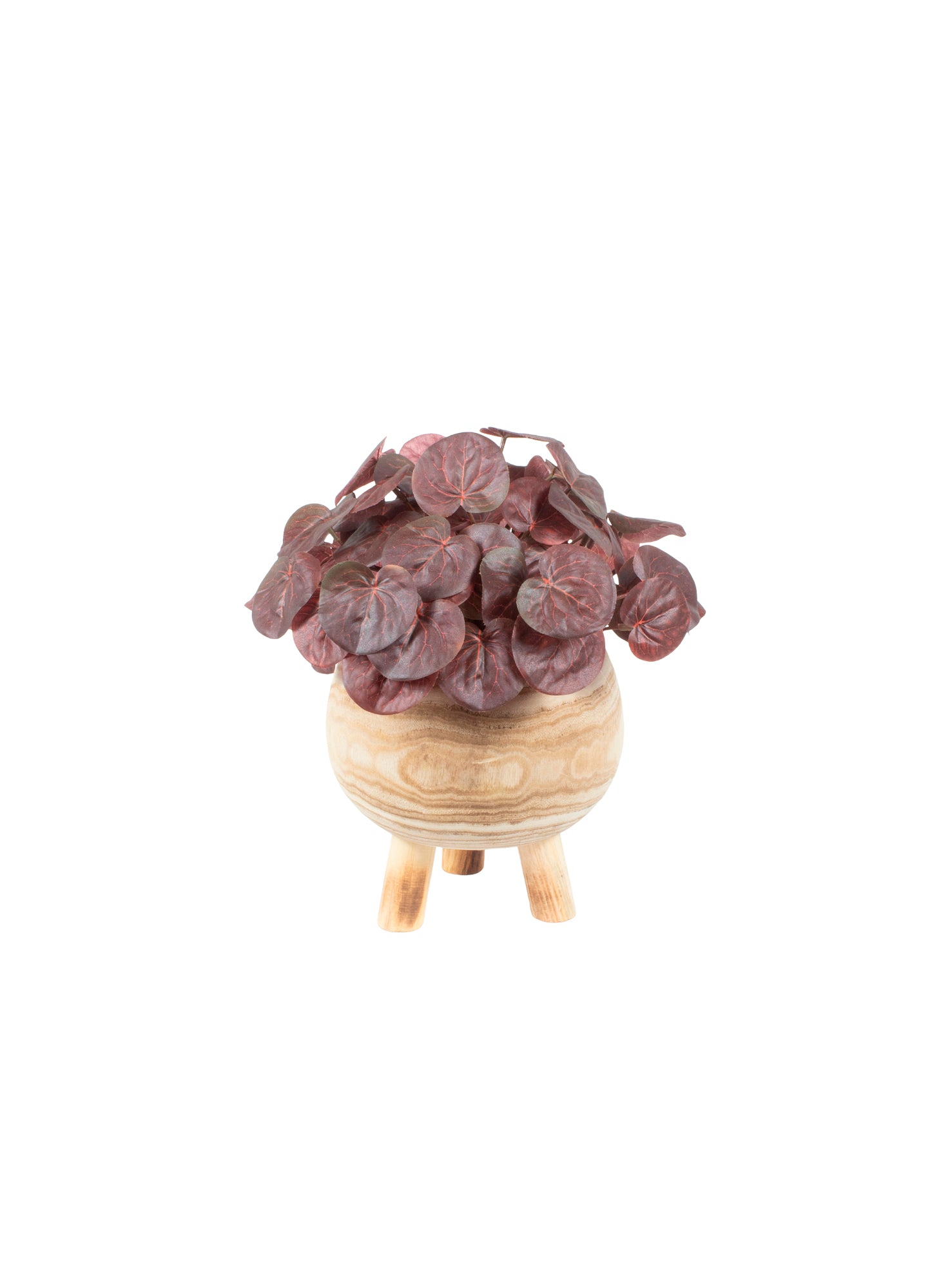 PEPERÔMIA BD EM CACHEPOT, 32CM Cod: A7106