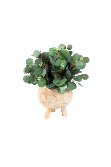 EUCALIPTOS EM CACHEPOT DE MADEIRA, 40CM Cod: A7107