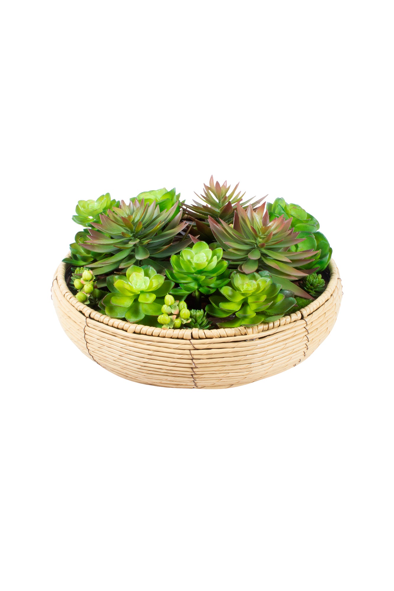 JARDIM DE SUCULENTAS/HYPERICUM, 37CM DIAM Cod: A7108