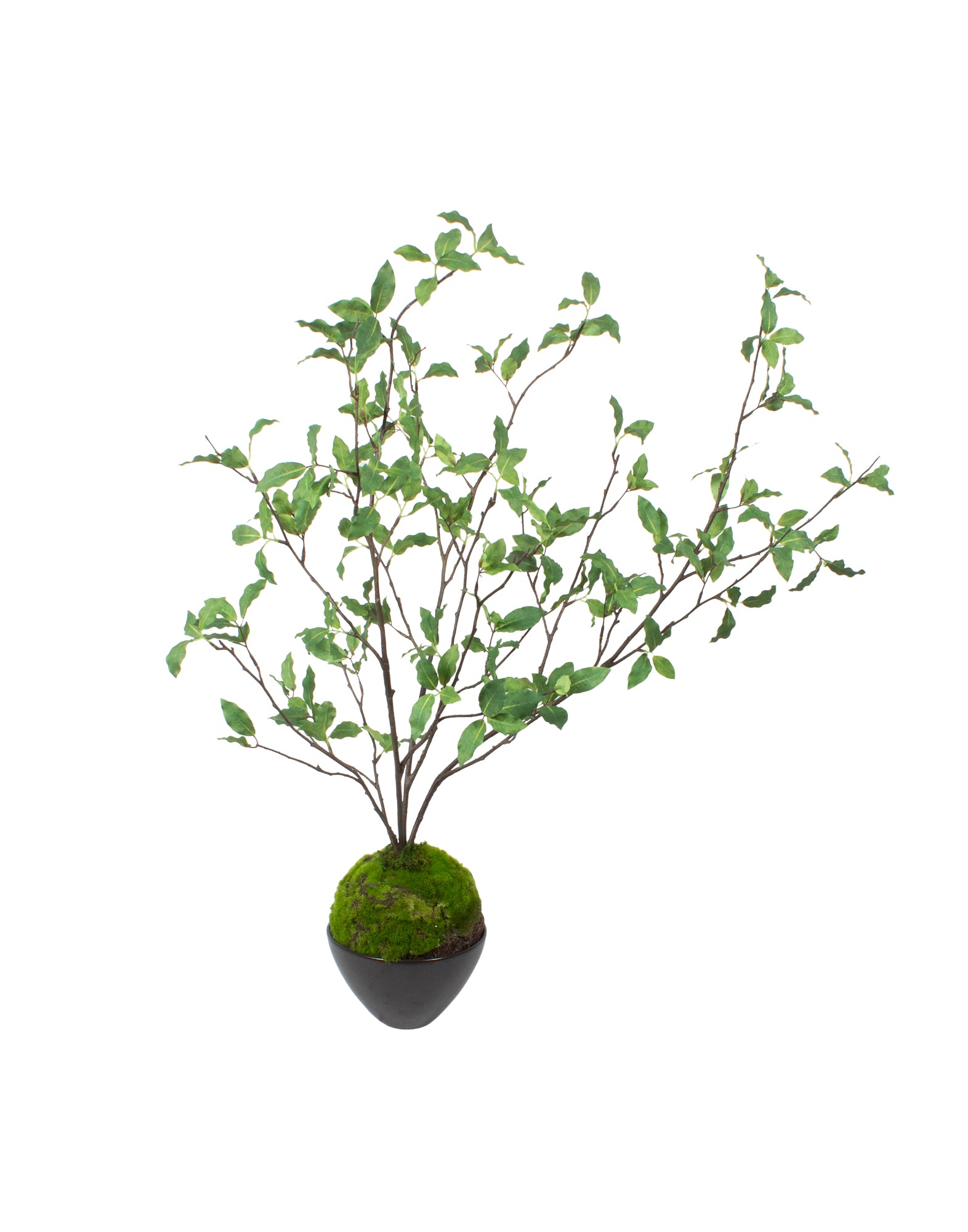KOKEDAMA DE FITOSPORO EM CER, 82CM Cod: A7109