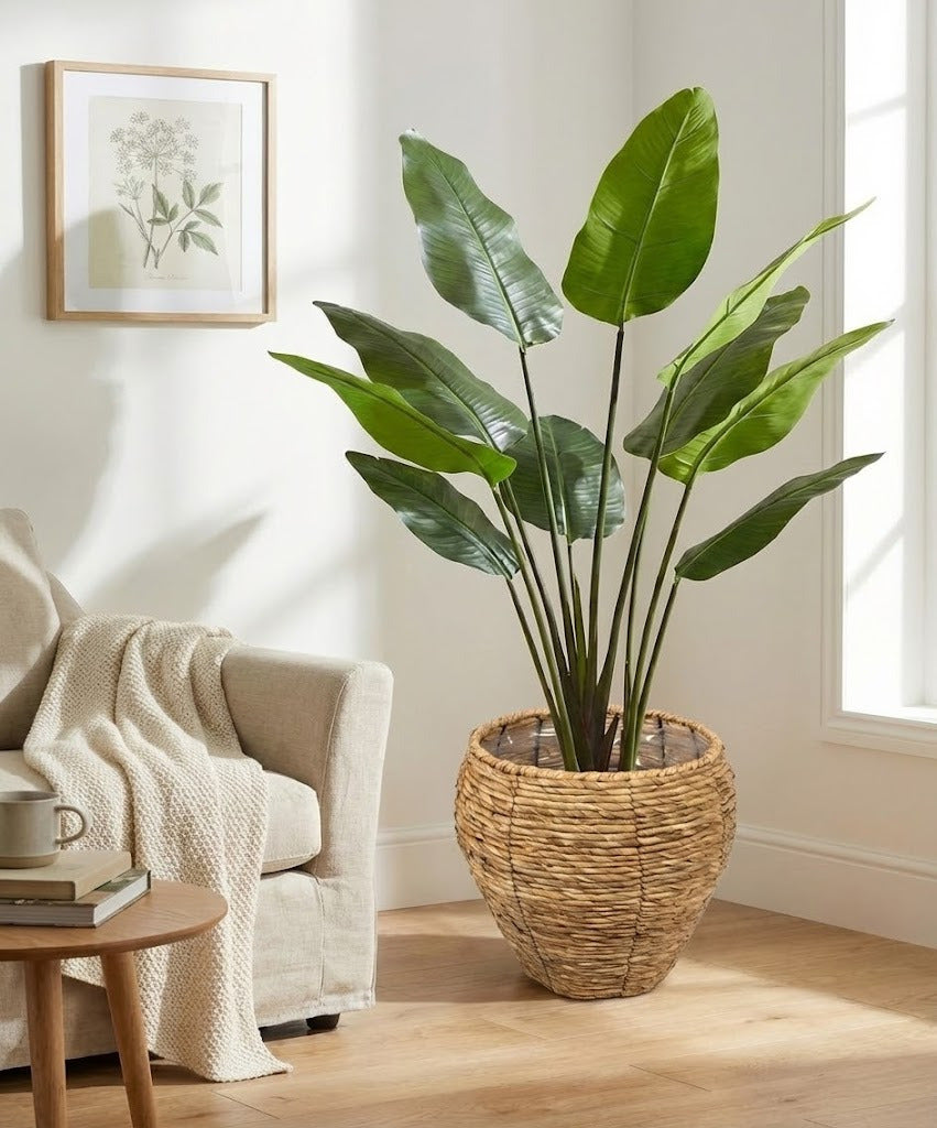 FOLHAGENS DE HELICONIA X10 EM POTE PVC, 125CM Cod: A7112