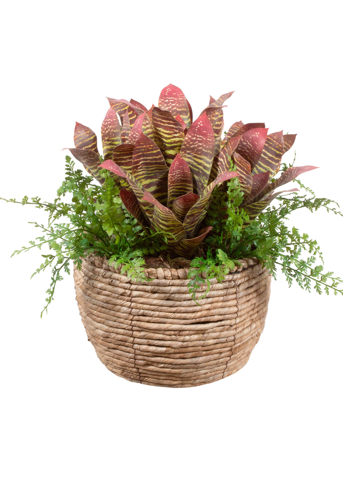 BROMELIAS VI/SAMAMBAIAS EM CACHEPOT, 40CM Cod: A7113