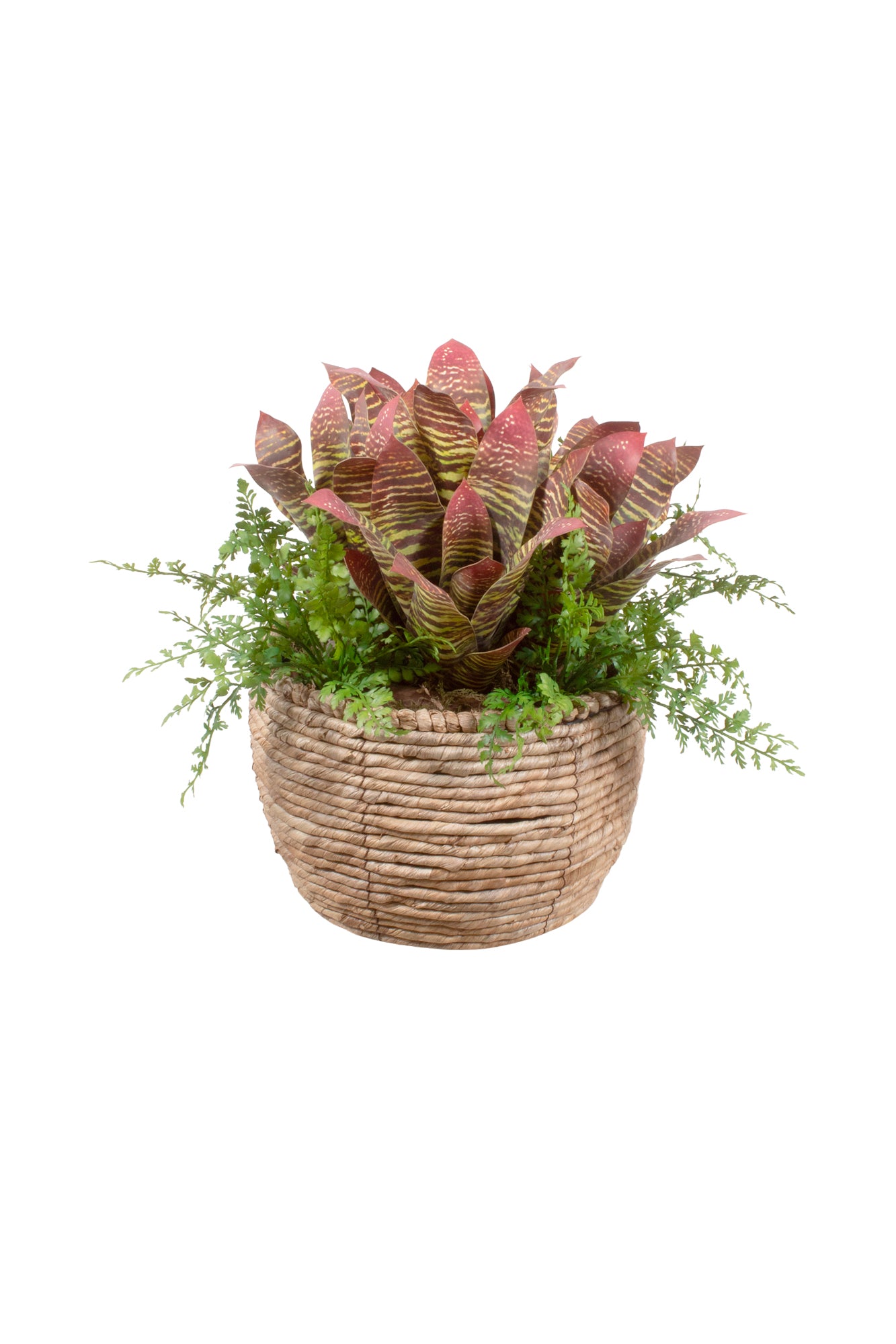 BROMELIAS VI/SAMAMBAIAS EM CACHEPOT, 40CM Cod: A7113