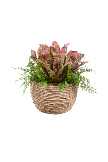 BROMELIAS VI/SAMAMBAIAS EM CACHEPOT, 40CM Cod: A7113