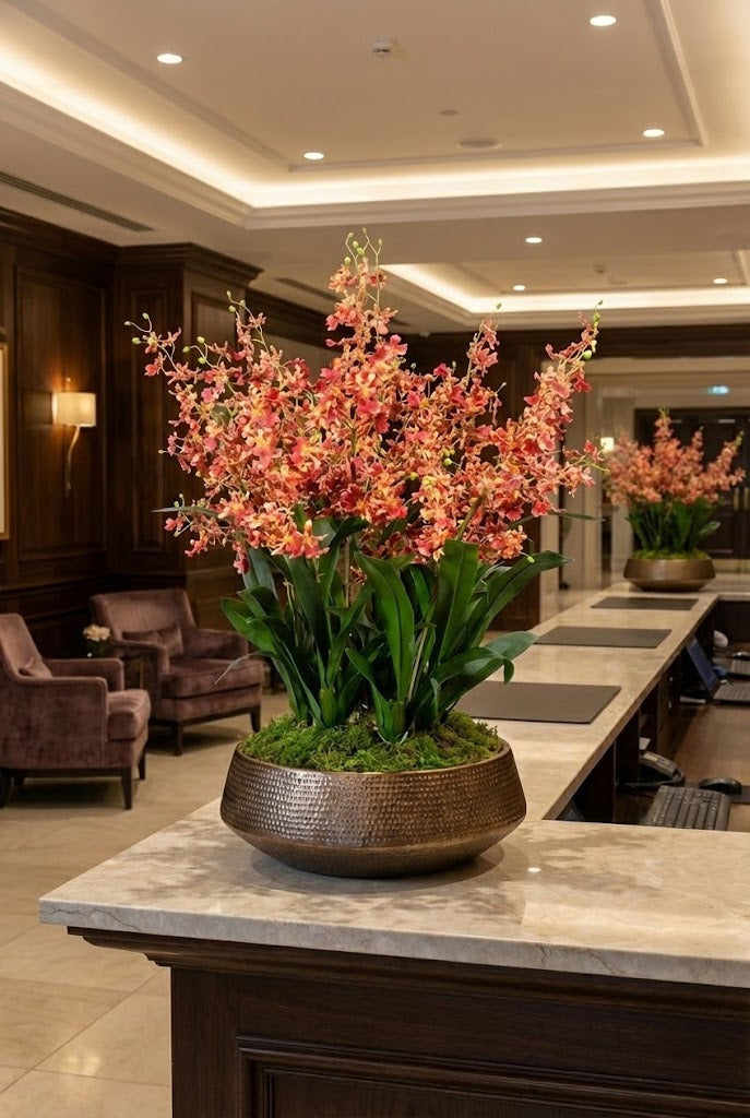 ORQ. ONCIDIUM VL X 8 NO VASO VPP 95CM Cod: A7116VPP