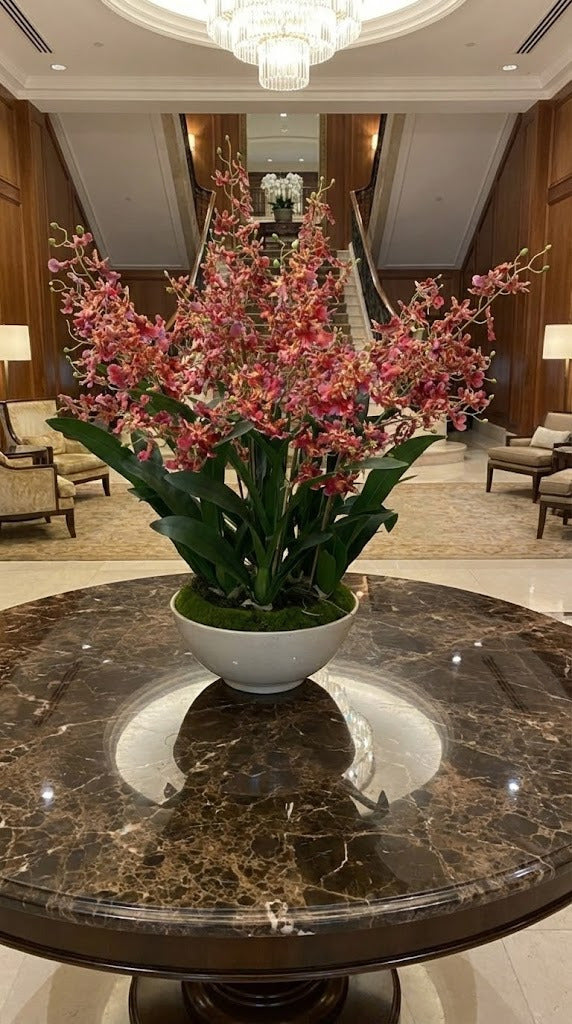 ORQ. ONCIDIUM VL X 8 EM BOWL CR, 95CM Cod: A7116