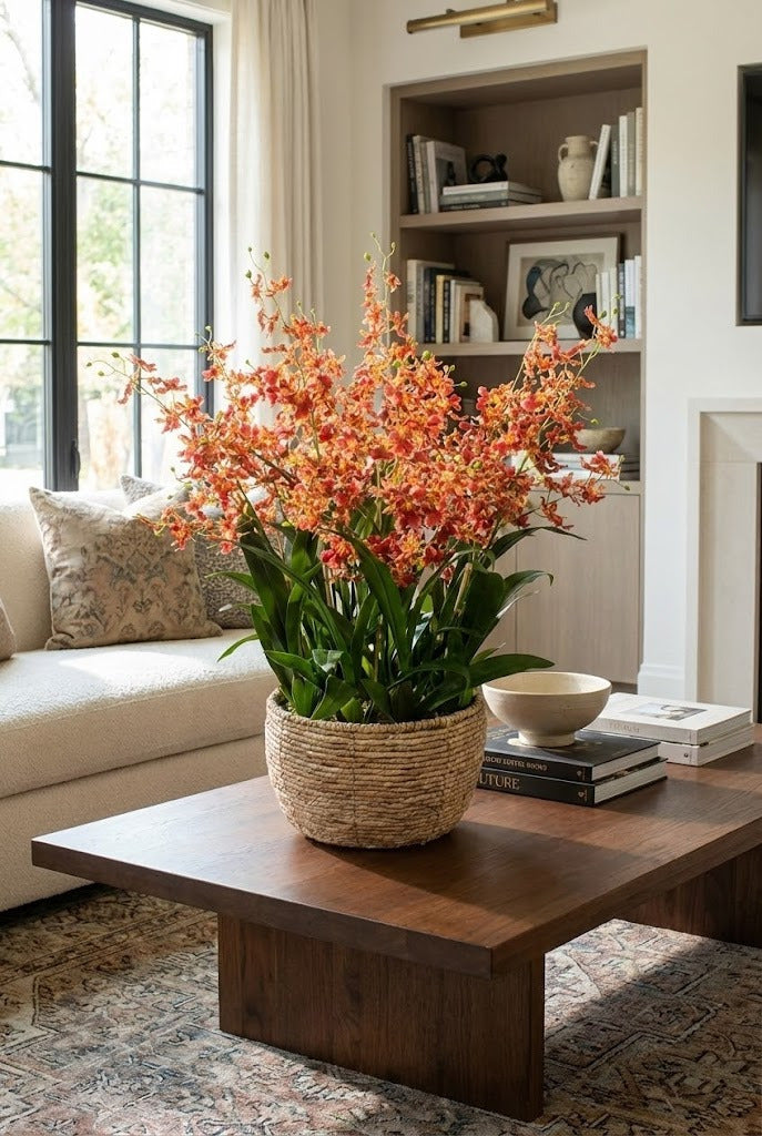 ORQ. ONCIDIUM VL X 8 EM CACHEPOT DE FIBRA 95CM Cod: A7116