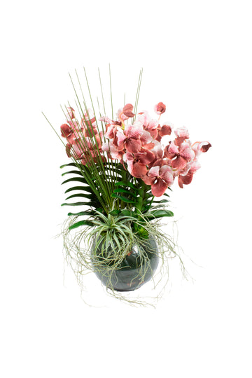 ORQ. VANDAS BD EM VIDRO AQUARIO, 95CM Cod: A7121