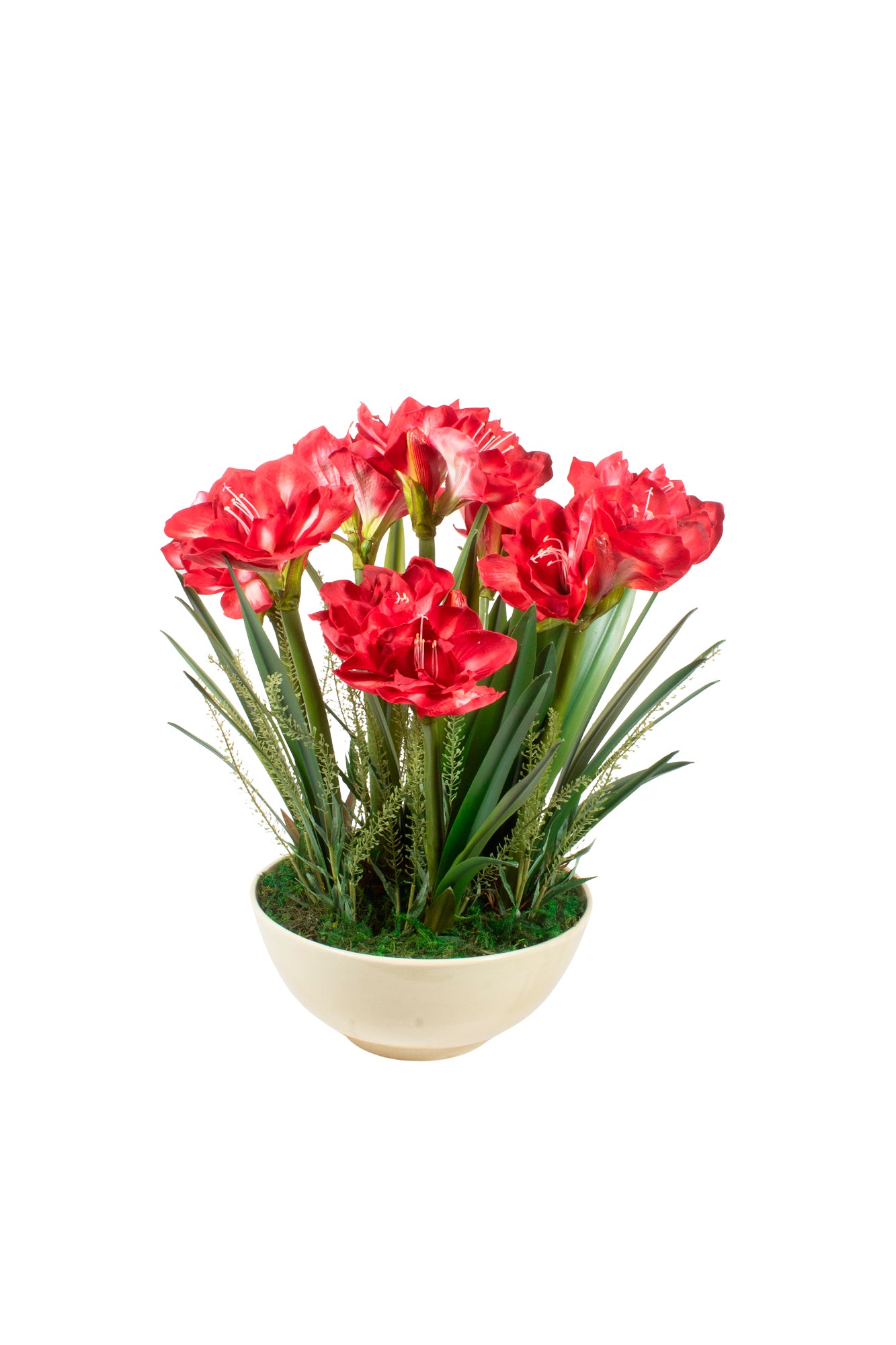 AMARYLLIS VM EM CER CR, 62CM Cod: A7122