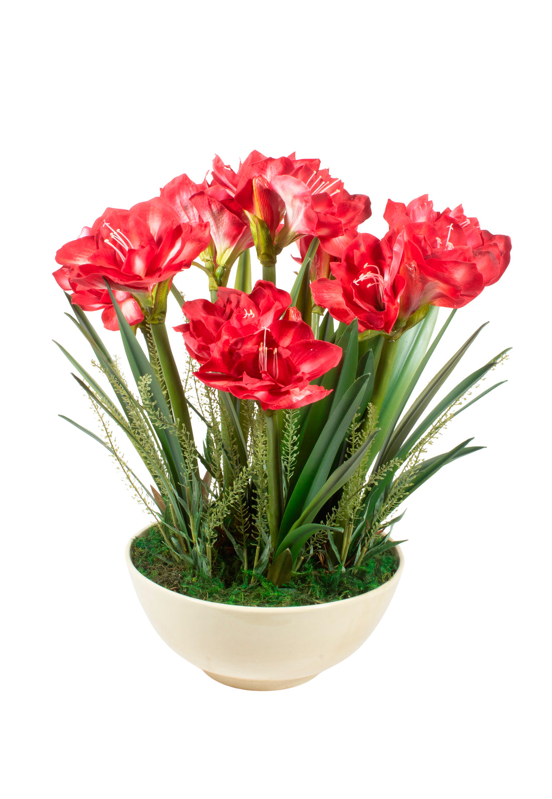 AMARYLLIS VM EM CER CR, 62CM Cod: A7122